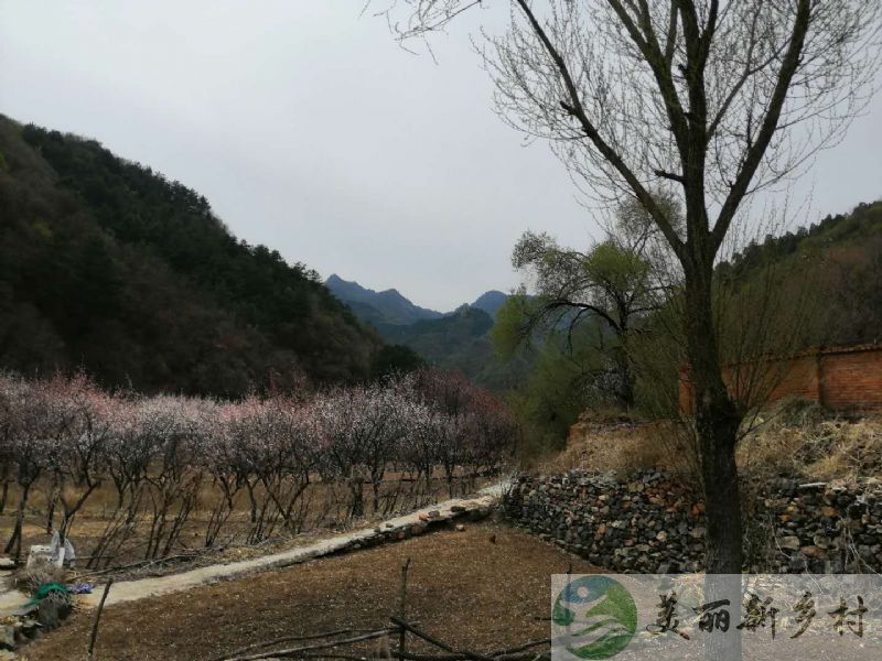 北京市怀柔区琉璃庙镇山中休闲自住院子出租