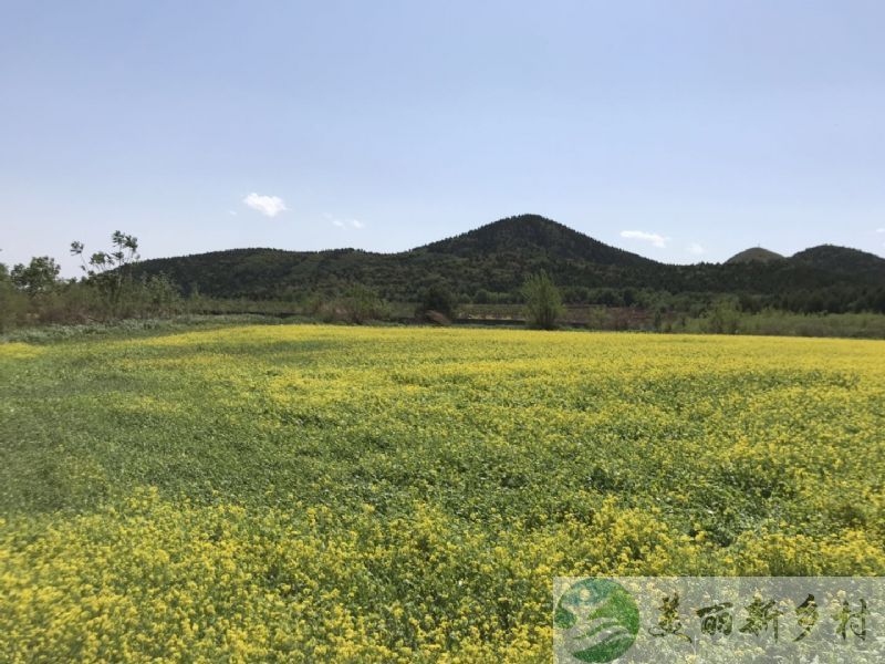 北京顺义木林浅山景区内的小院儿出租