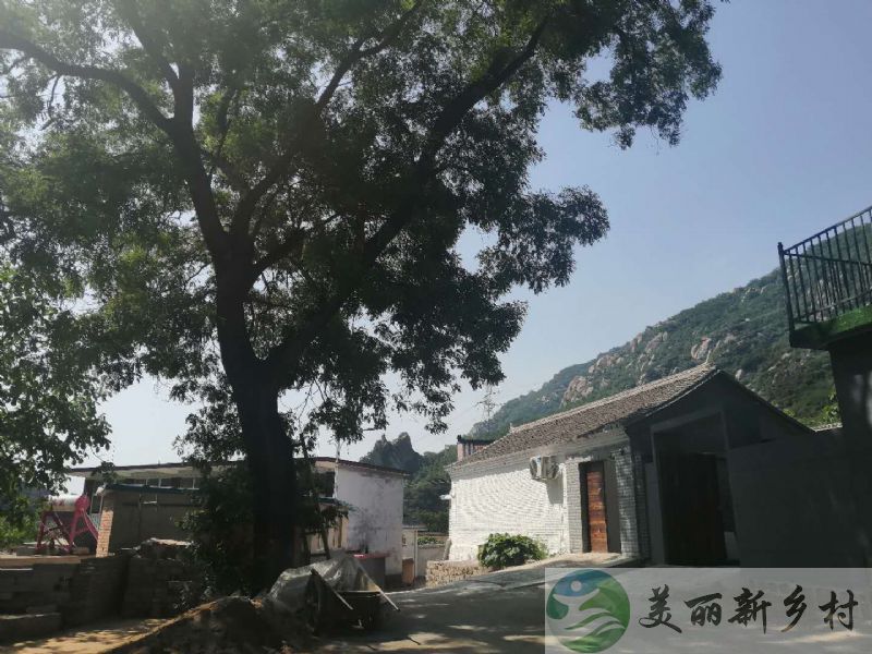 美丽新乡村—北京怀柔九渡河镇民宿品质小院儿-2号院