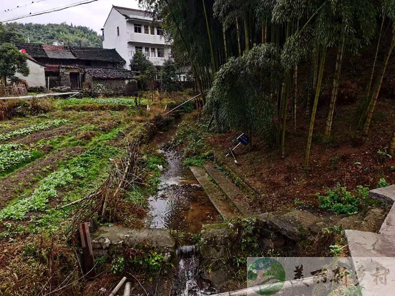 浙江宁波余姚清秀竹林乡村农房出租