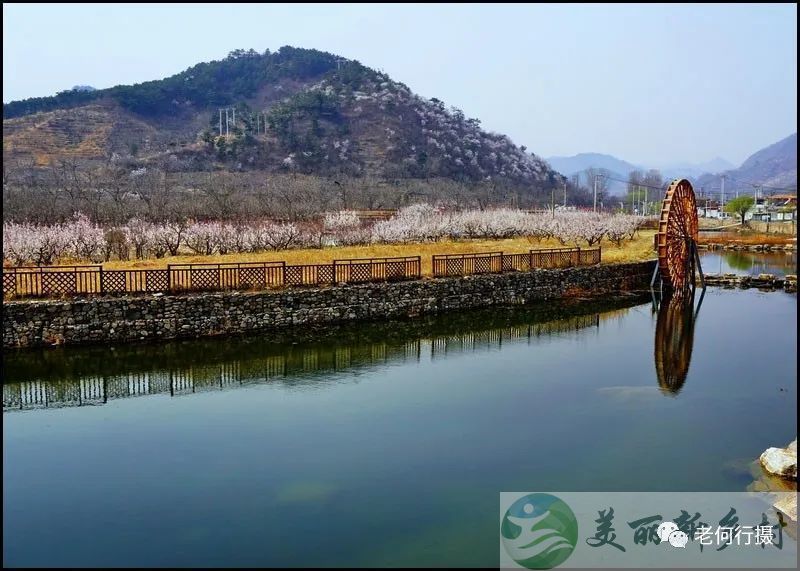 北京怀柔九渡河镇黄花城景区旁精致庭院出租