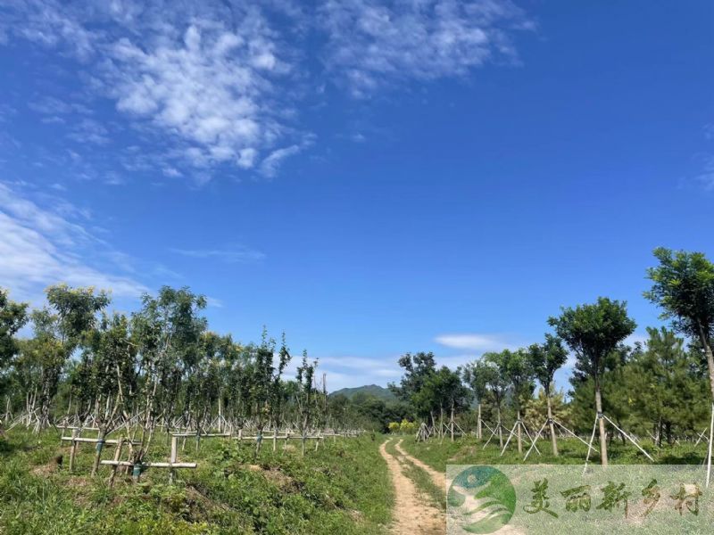 北京昌平区桃林村1小时到城区二层乡村别墅