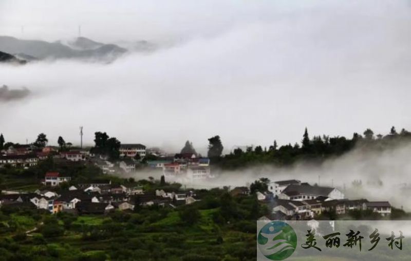 浙江省余姚市鹿亭乡白鹿村（陈建设）宅基地出租