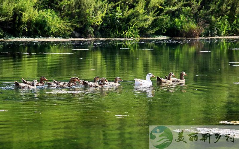 北京怀柔山水九渡精致装修农村中式庭院