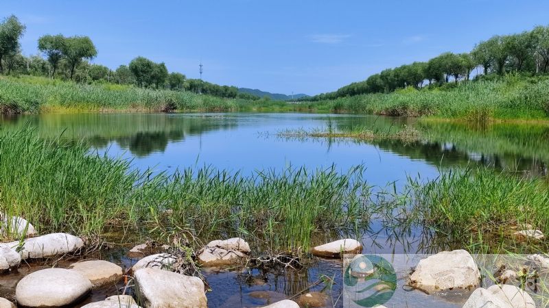 密云水库岸边邻水观湖山水农村小院出租