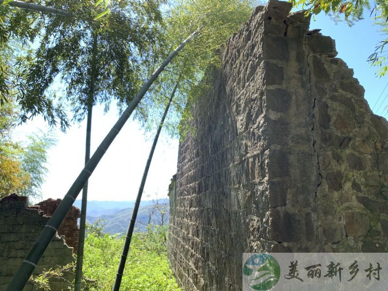 浙江省余姚市鹿亭乡高山村（褚赵丁）风景优美农村房子出租