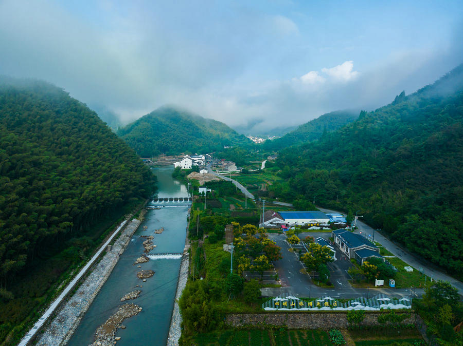 浙江余姚树蛙部落所在乡域近百套闲置农房集体出租 激活民宿康养活力