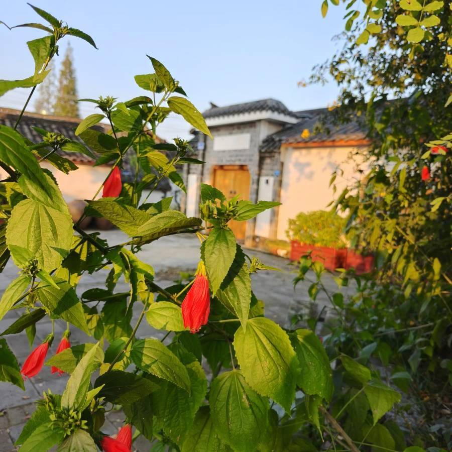 sichuan (8).jpg